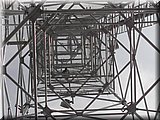 DSCN4114.JPG