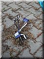 DSCN4118.JPG