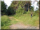 DSCN4120.JPG
