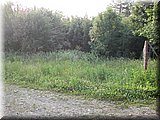 DSCN4122.JPG