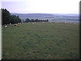 DSCN4166.JPG