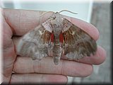 DSCN4222.JPG