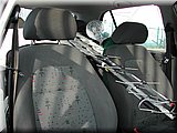 DSCN4239.JPG