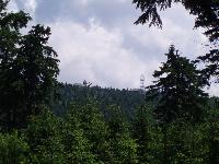 Img_85
